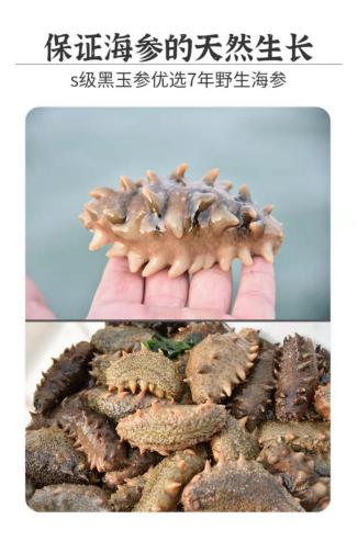 海参不能碰什么,海参为什么会化成一滩水