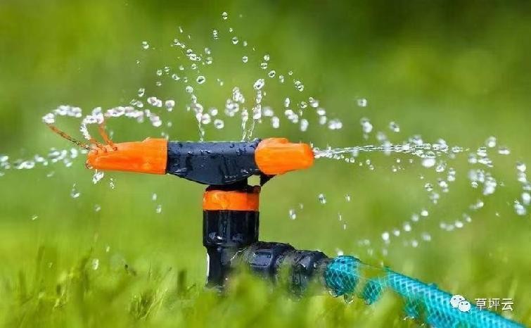 12月份园林绿化养护工作重点,元月份园林养护重点工作