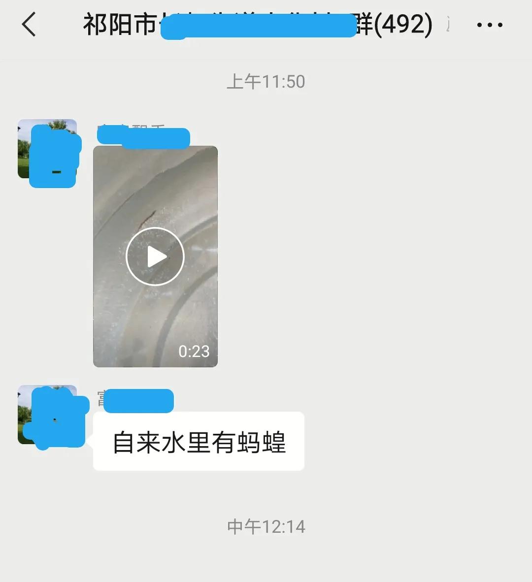 自来水出现蚂蝗,自来水发现蚂蝗