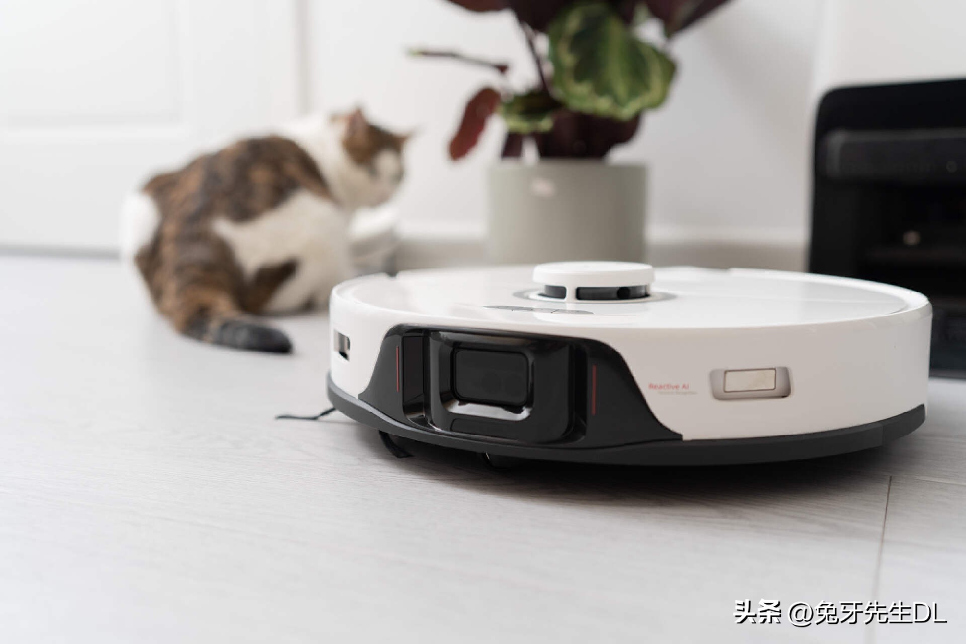 让家里劳动者解放双手，拥有这些实用的小家电将大幅提高生活品质