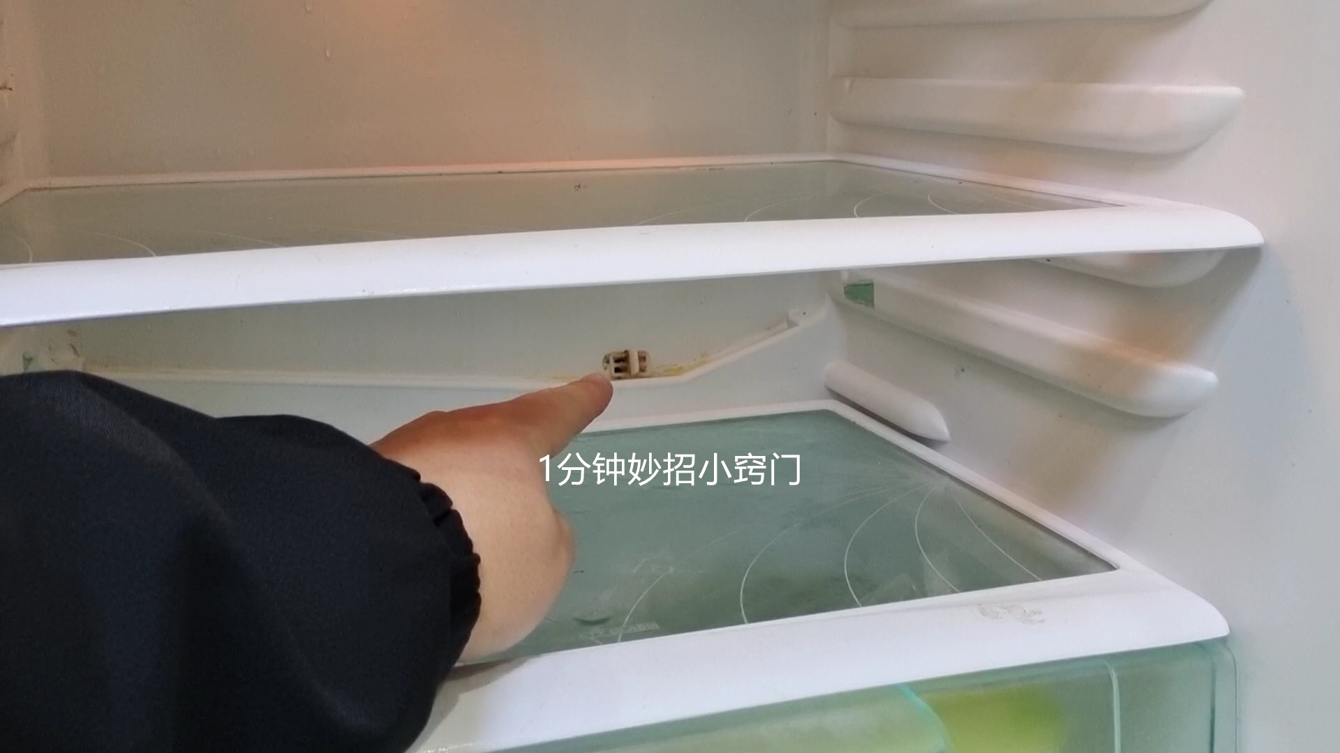 冰箱总结冰怎么办?只需动一下这里,冰箱再也不结冰,省钱又省电