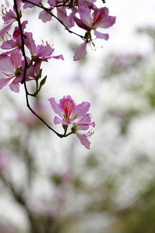 慢赏人生的风景散文,人生最好的风景散文