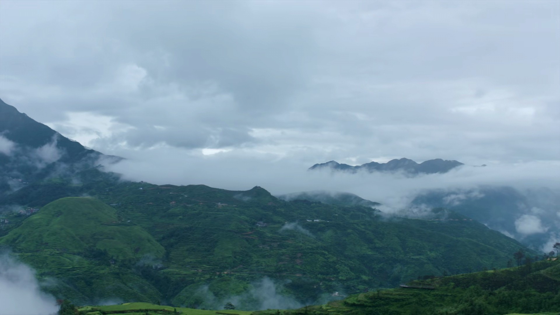 才播2集，口碑爆了，剧情高能，老戏骨惊艳，高鑫新剧凭什么？