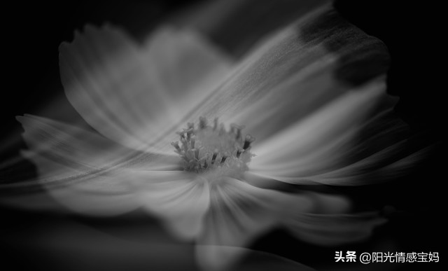 心情灰暗的微信头像,彻底伤心绝望的微信头像