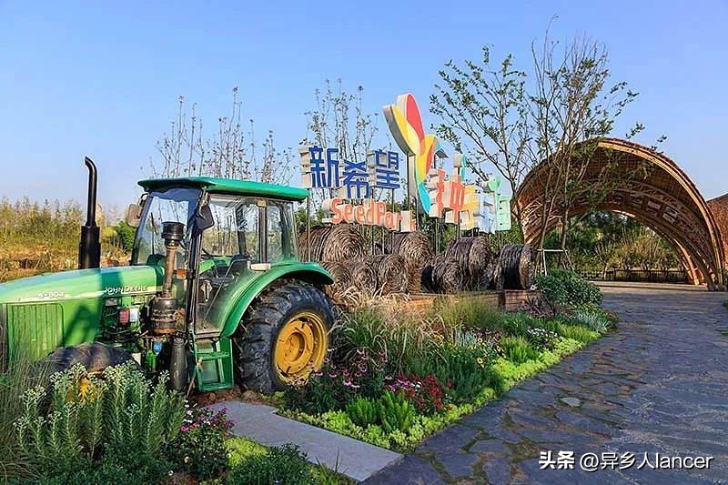 家庭农场：是否能成为乡村致富的新风口？