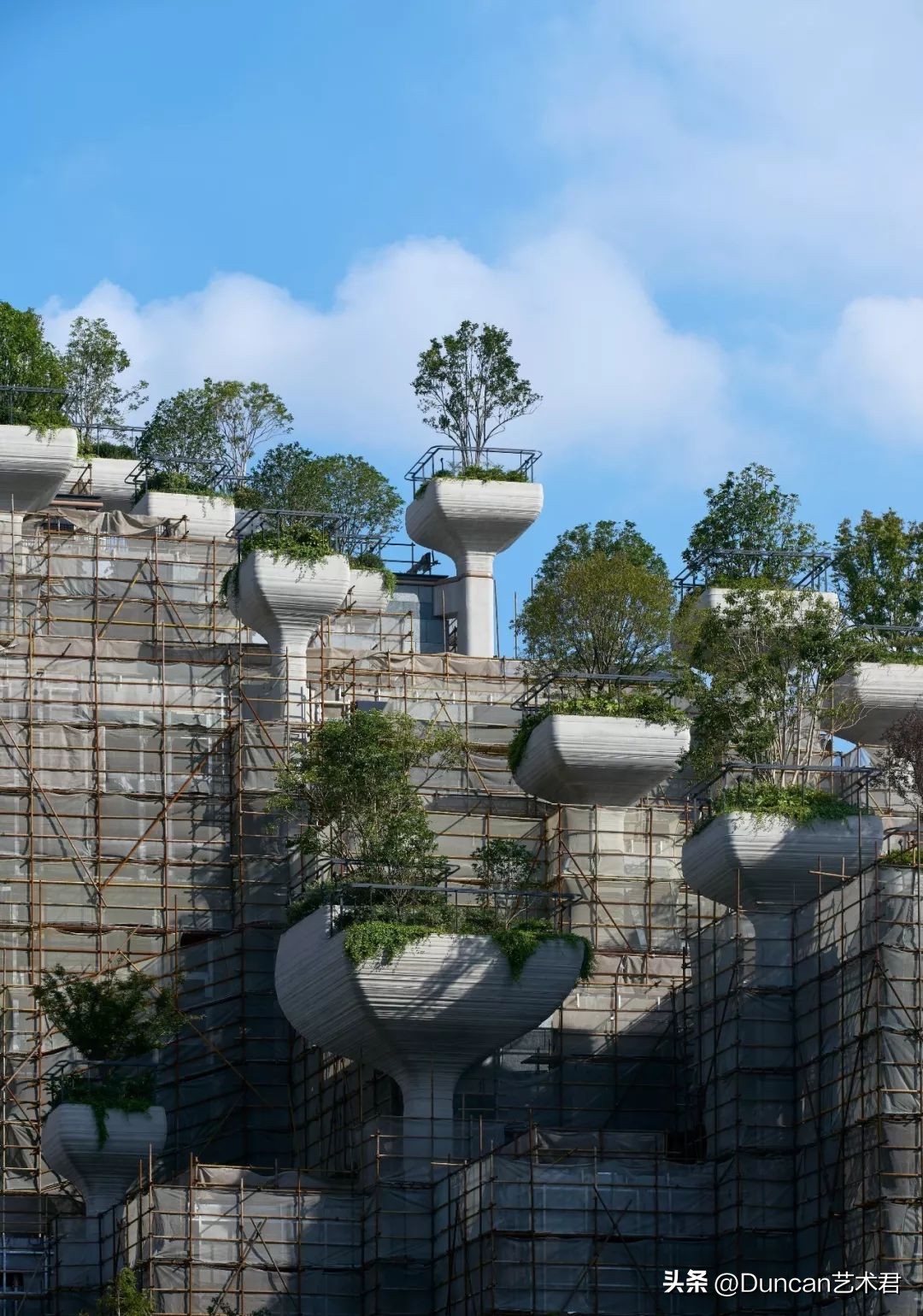 上海新打卡地千树,上海最新地标1000棵树