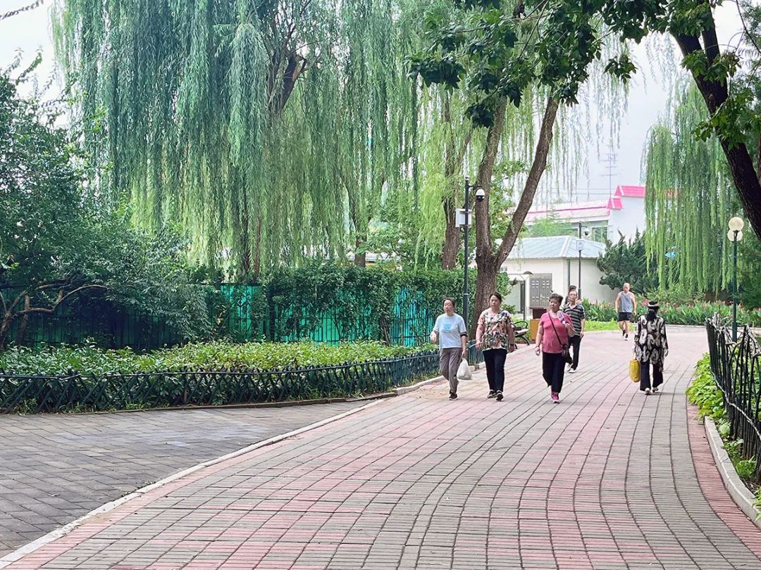 顺义区好玩的免费公园,顺义区公园景点有哪些