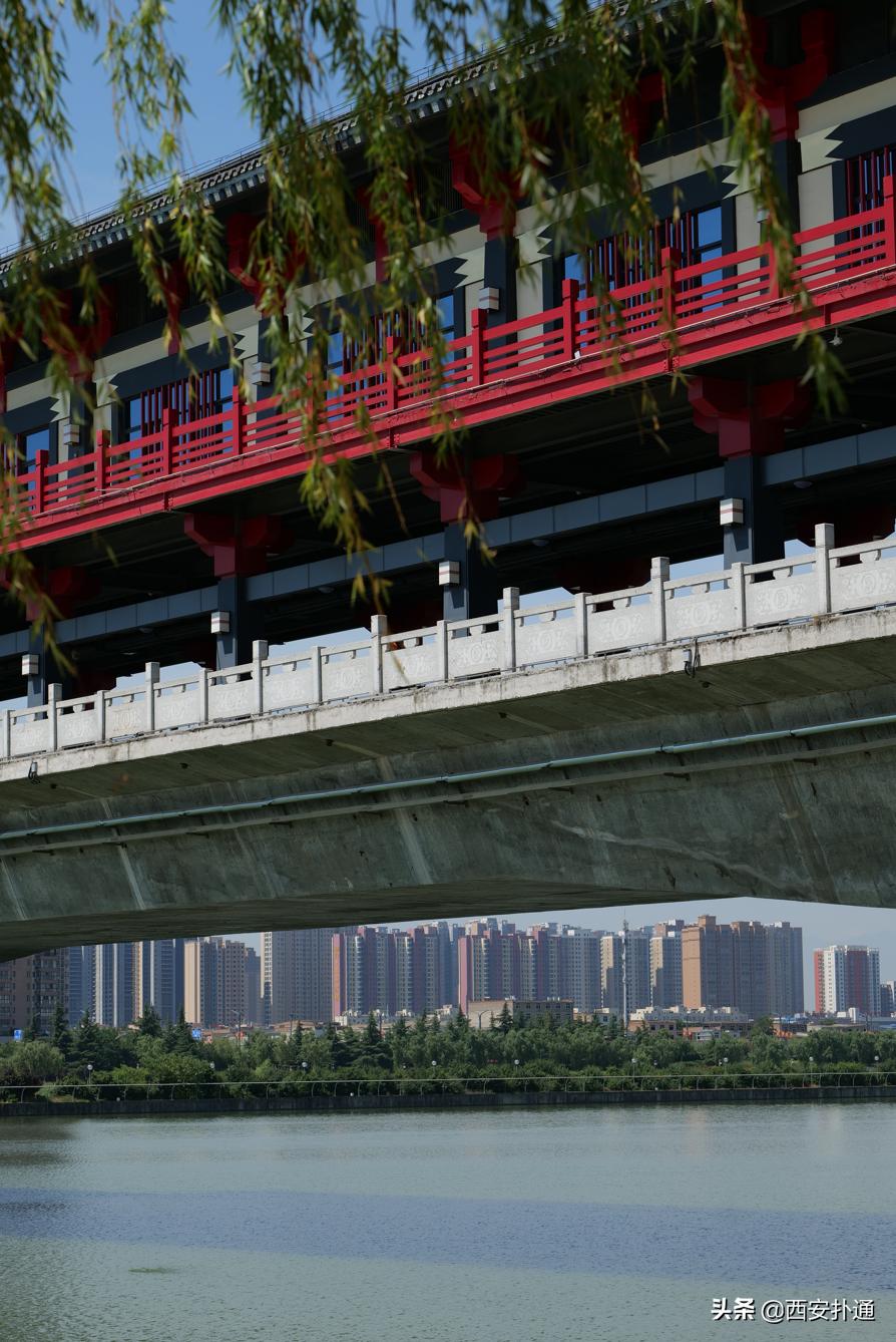 西安最大花海公园,西安周边的自然景观公园