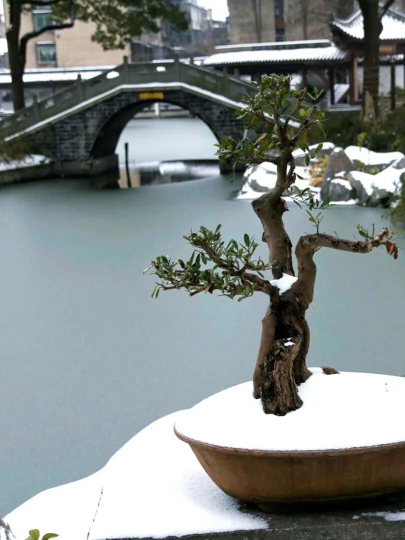 咏冬天（01）李白《北风行》：立志发愤读书，以实现远大抱负