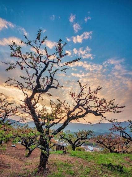 广东河源特产小吃,河源老城美食小吃