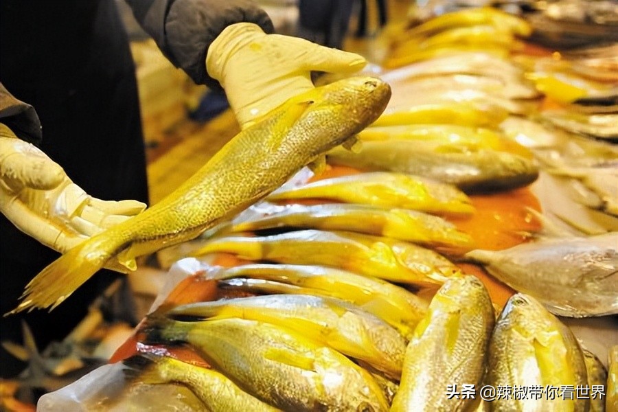 宁德大黄鱼之乡攻略,霞浦大黄鱼之乡图片