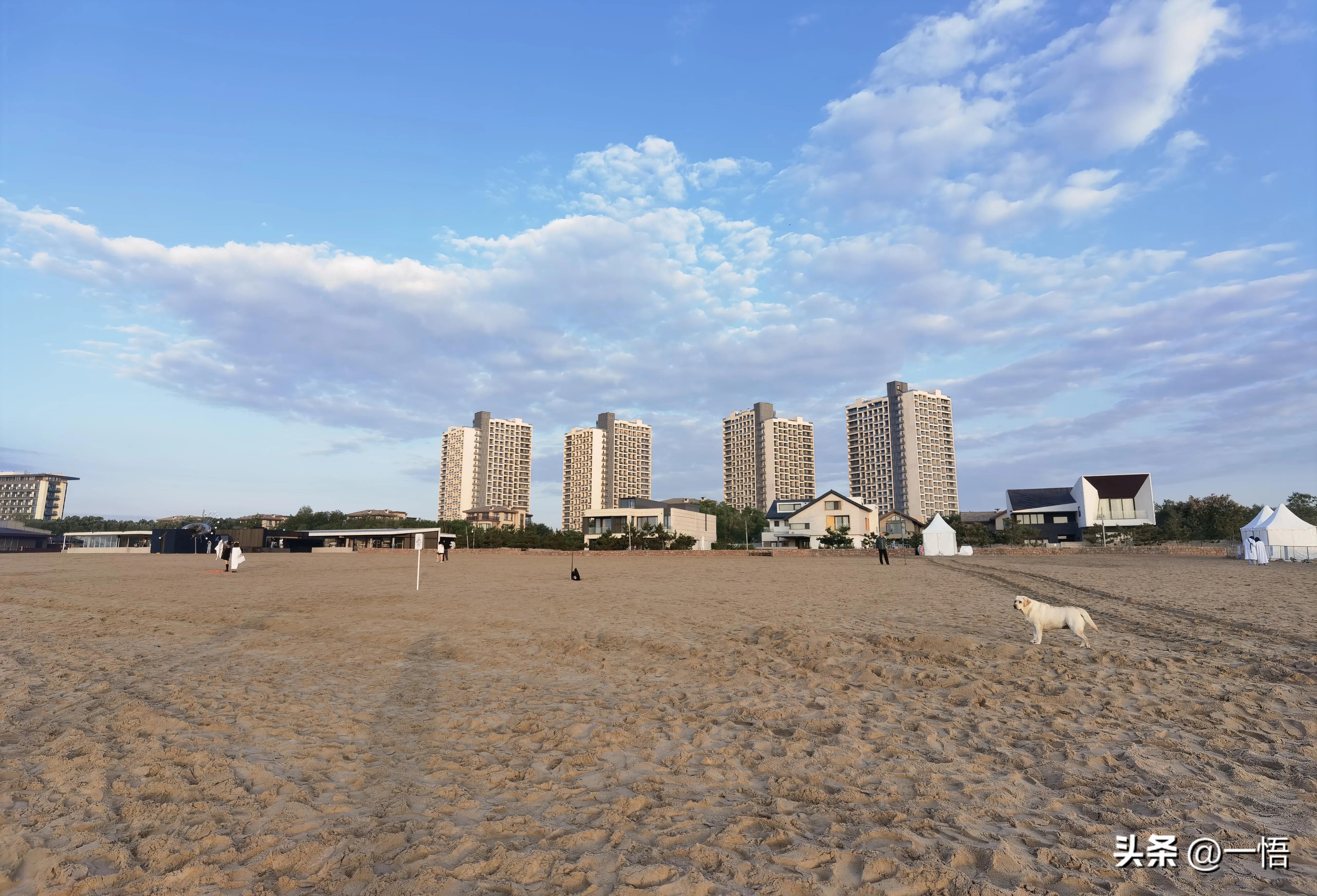 2023上海到秦皇岛承德十日游第四天：看阿那亚的海，逢犬舍的安娜