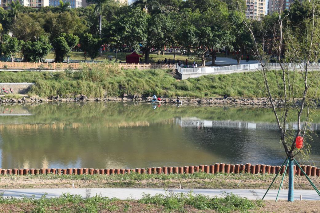 与春天撞个满怀的意思是什么,在棠梨湖公园邂逅春天