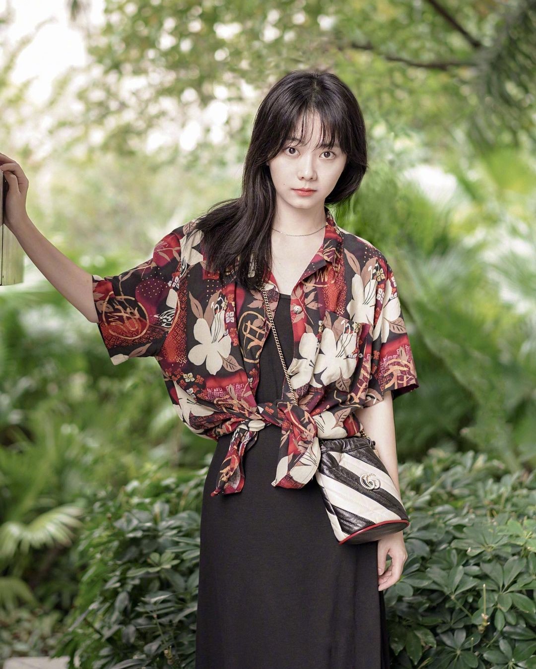 娱乐圈的白月光们有哪些共同点,娱乐圈白月光有哪些