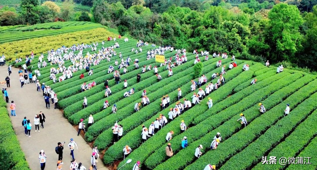 钂叉睙鎴愪匠鑼堕┈涓栧鐮斿鍩哄湴,鍥涘钂叉睙