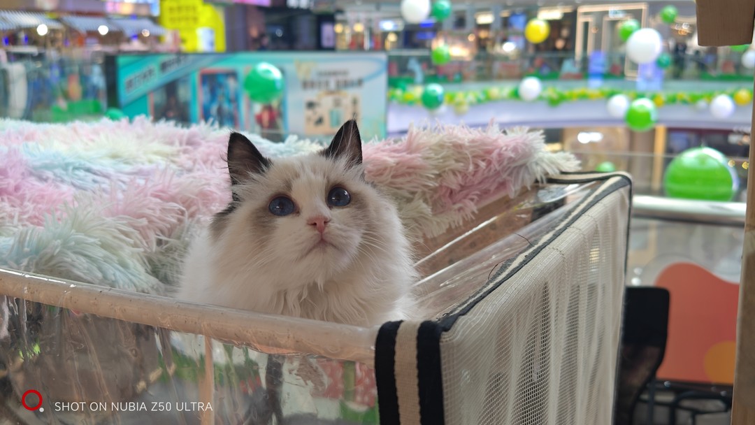 努比亚z50ultra对比其他全面屏手机,努比亚z50ultra全面屏有什么优势