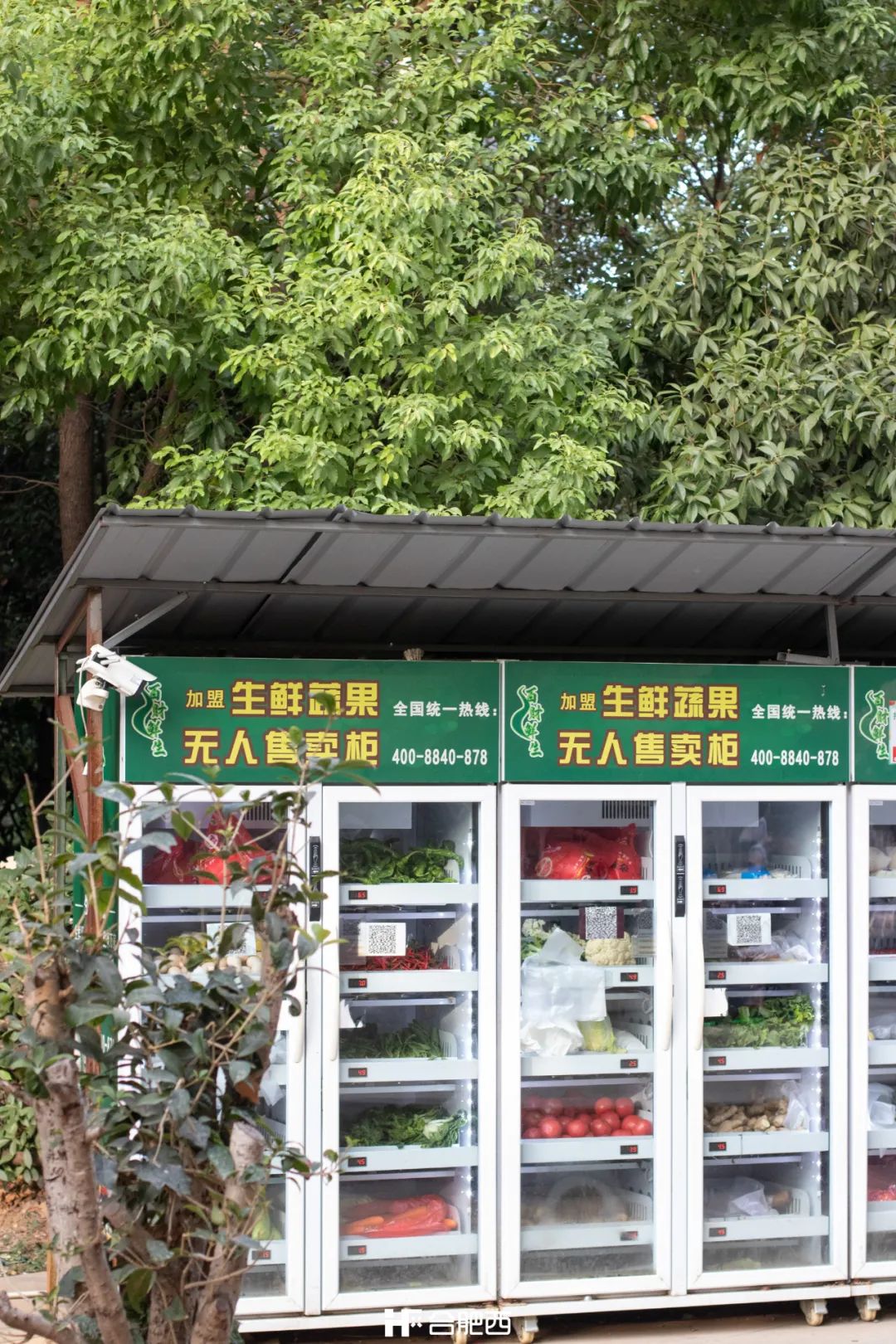 西二环房价洼地,房价从1000涨到10万谁最受益