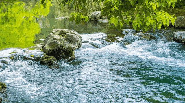 似水流年人生百味随意就好,似水流年一曲红尘品百味人生