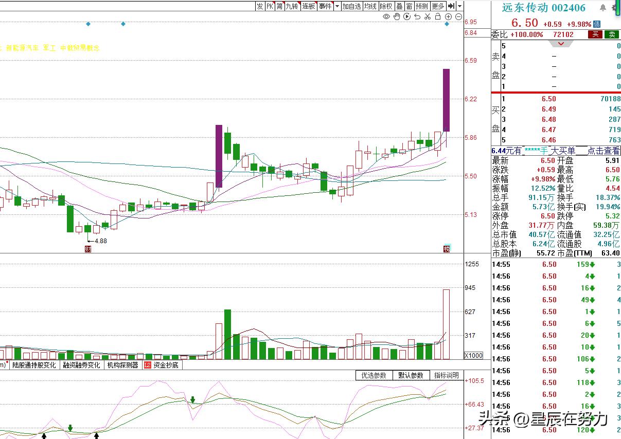 知名游资扎堆买入鸿博股份,预测鸿博股份6月1日走势
