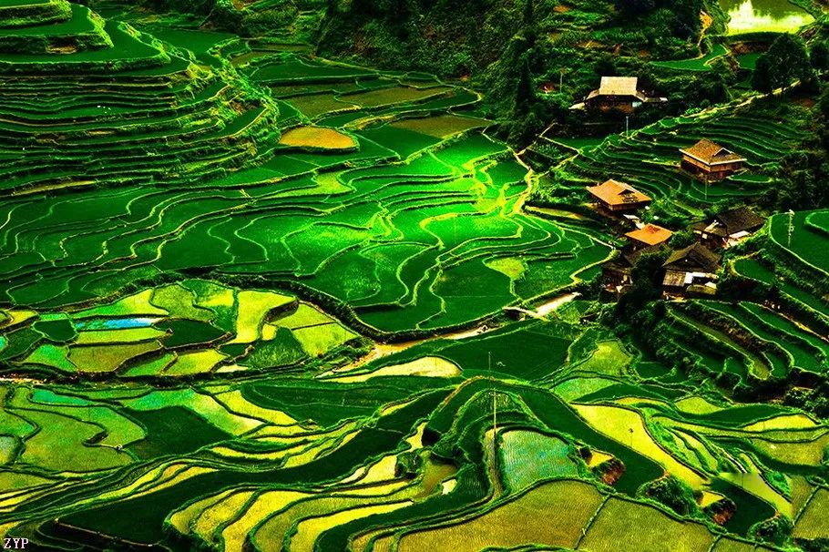 中国人文摄影获奖作品,大美中国摄影作品展获奖