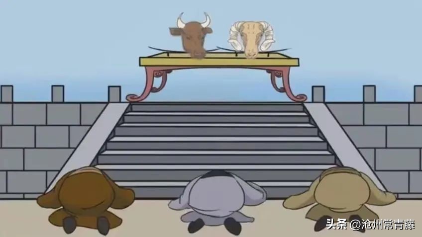 夏至节气感慨,今日夏至话题