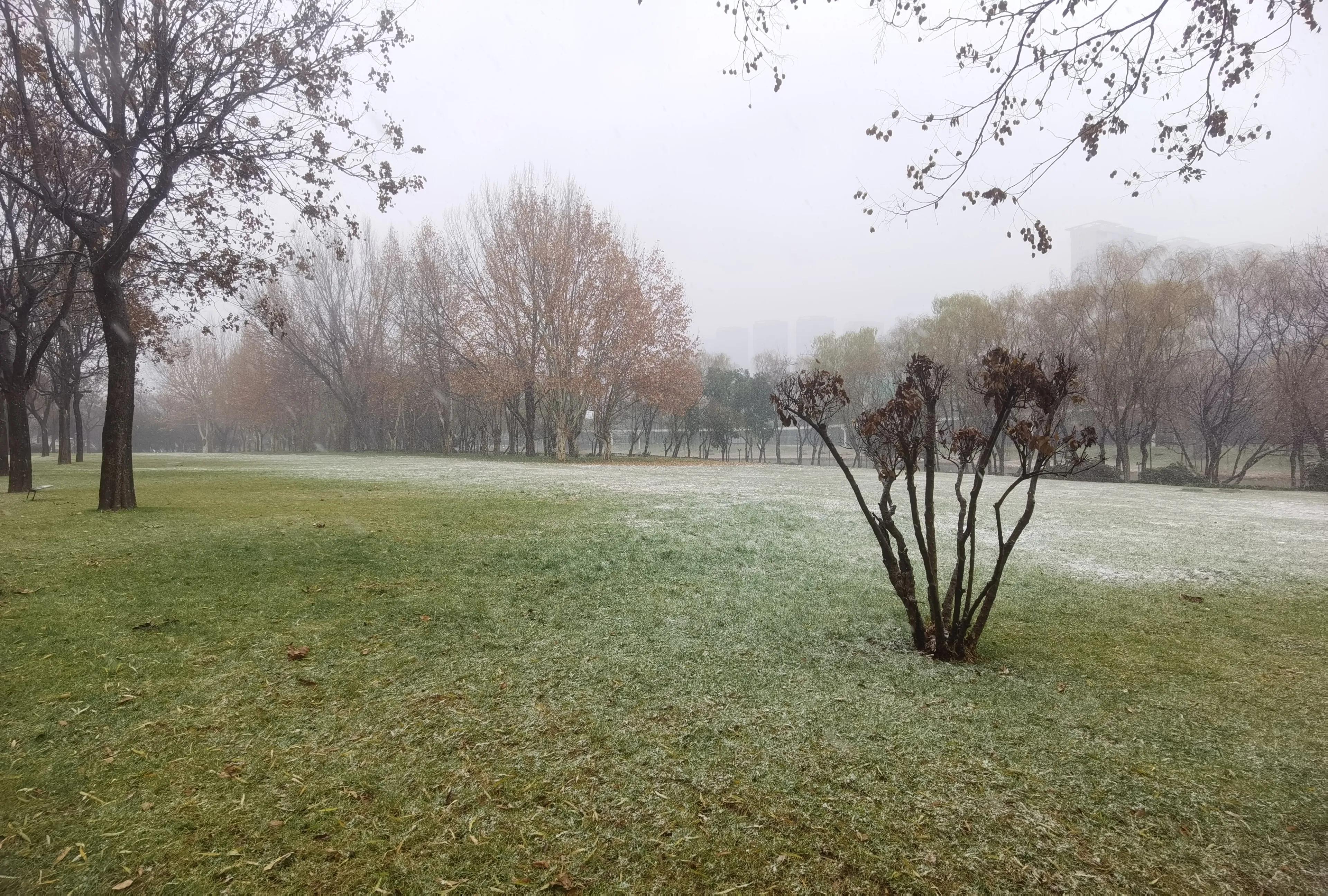 冬雪胖胖吖,冬雪诗句