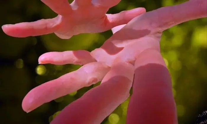 香港艺术周2019,香港亚洲艺术周