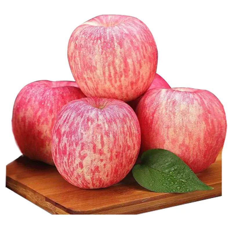 家乡的苹果,我家乡的苹果作文400字