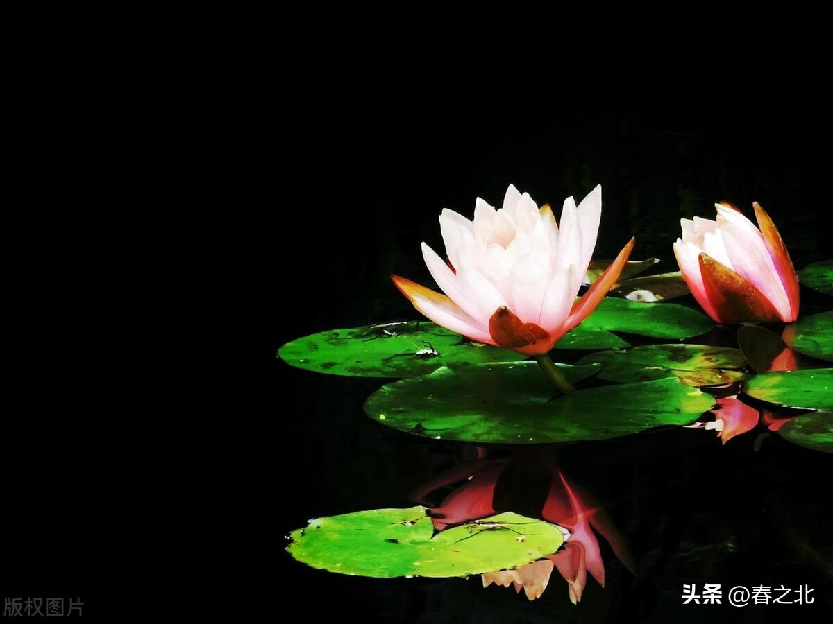 30年前外公写给我的一封信,外公留给我的一封信