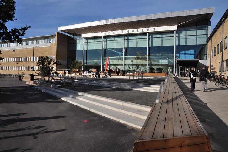 明亮的北欧之光——浅析大众化高等教育中的跨学科教育史