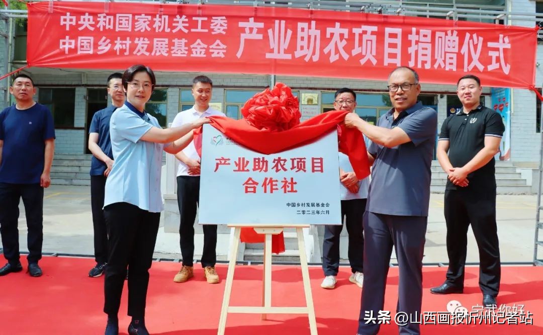 中国乡村发展基金会“善品公社”产业助农项目在宁武成功落地