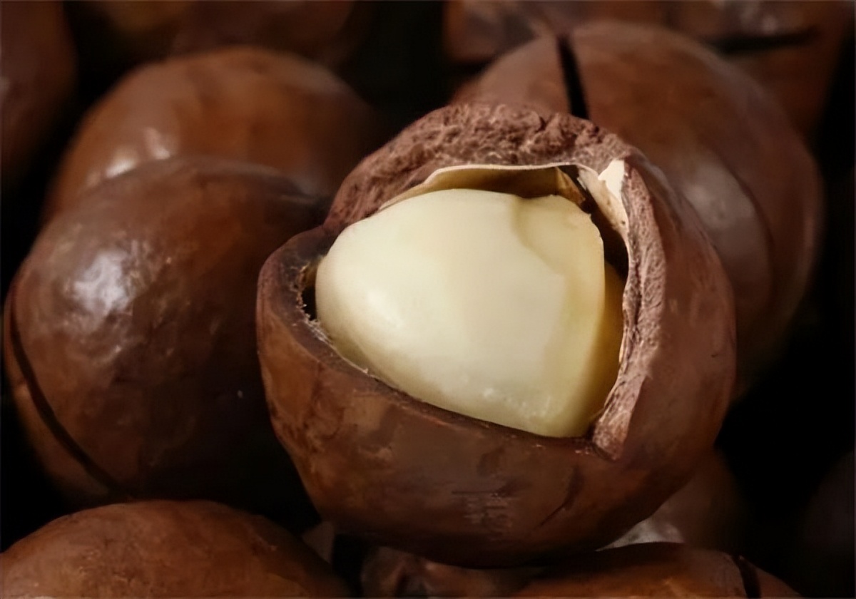 夏威夷果为什么叫夏威夷果,夏威夷果为什么叫鸡蛋果