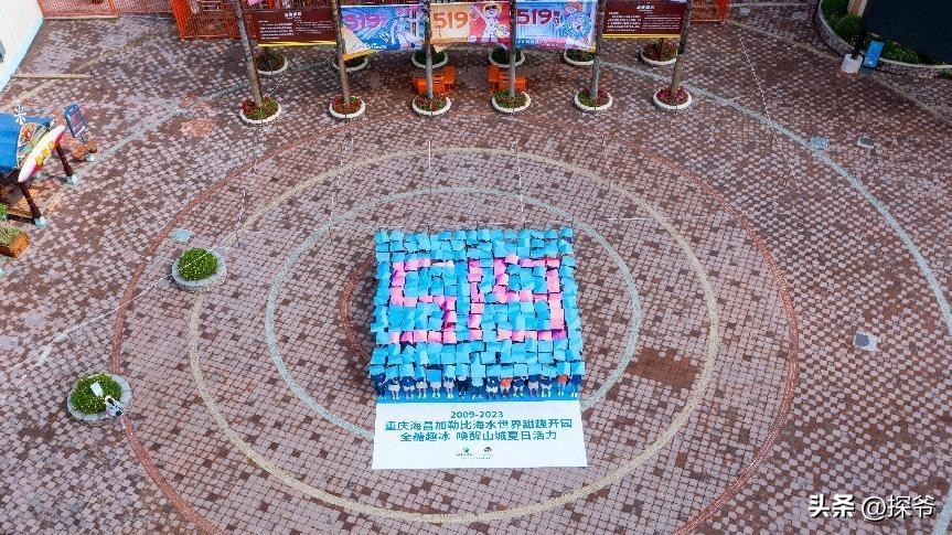 重庆加勒比海水世界在哪儿,重庆海昌加勒比水世界夜场