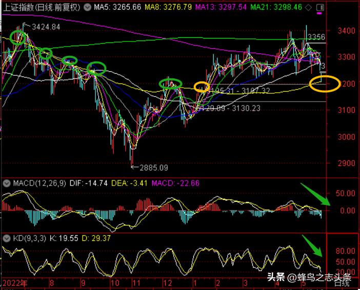 光脚大阴杀跌，最暗时刻艰难探底20230524