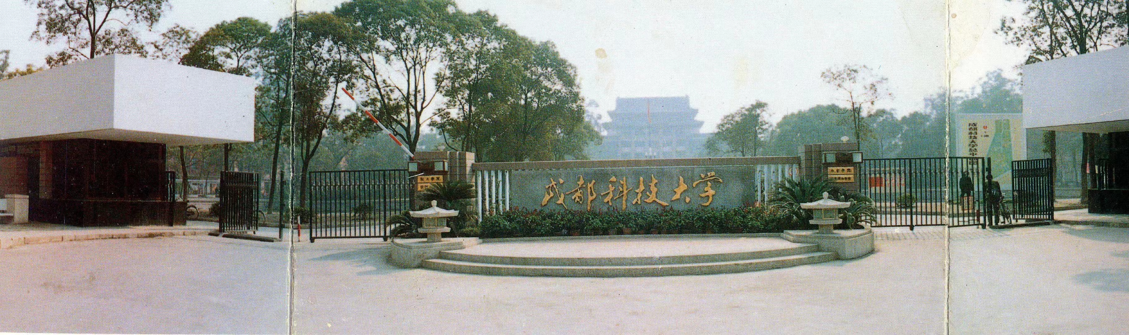 大学青春的绽放,大学青春