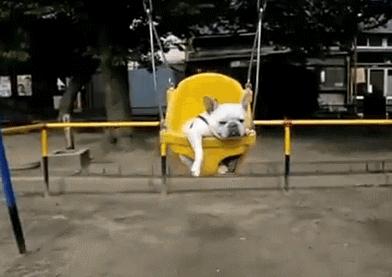 看一眼就心动的美景,梅溪湖周边网红打卡地