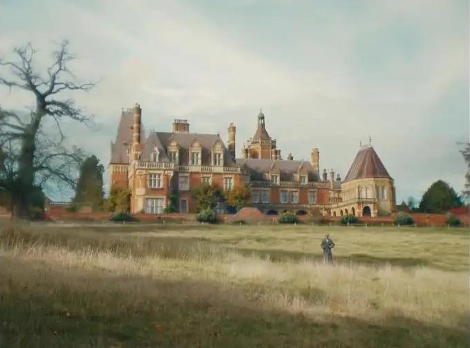 顶级猫奴！天才画家用余生为亡妻画猫，却被送进精神病院…