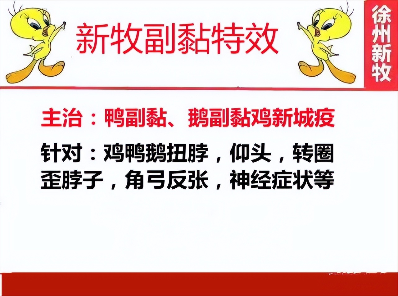 小鹅张嘴流粘液什么病,小鹅吐黏液不吃食怎么办