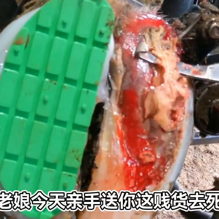 故事的我在职高门口#小说控