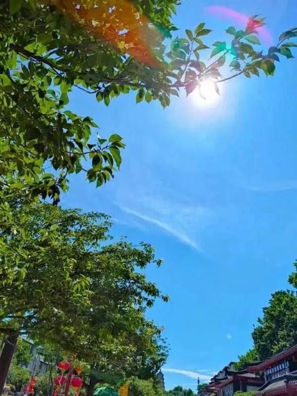 琳琳和朋友的视频,琳琳和她的朋友视频