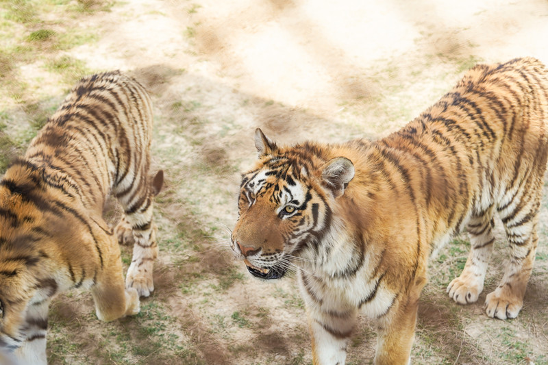 宿州两日游,宿州旅游攻略三日游