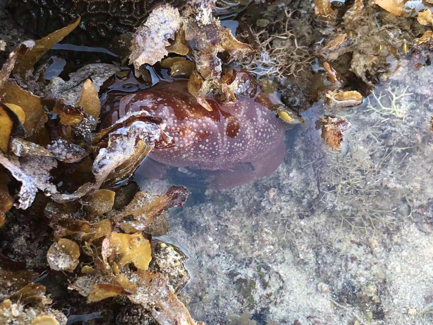 解封了去哪玩?素人推荐