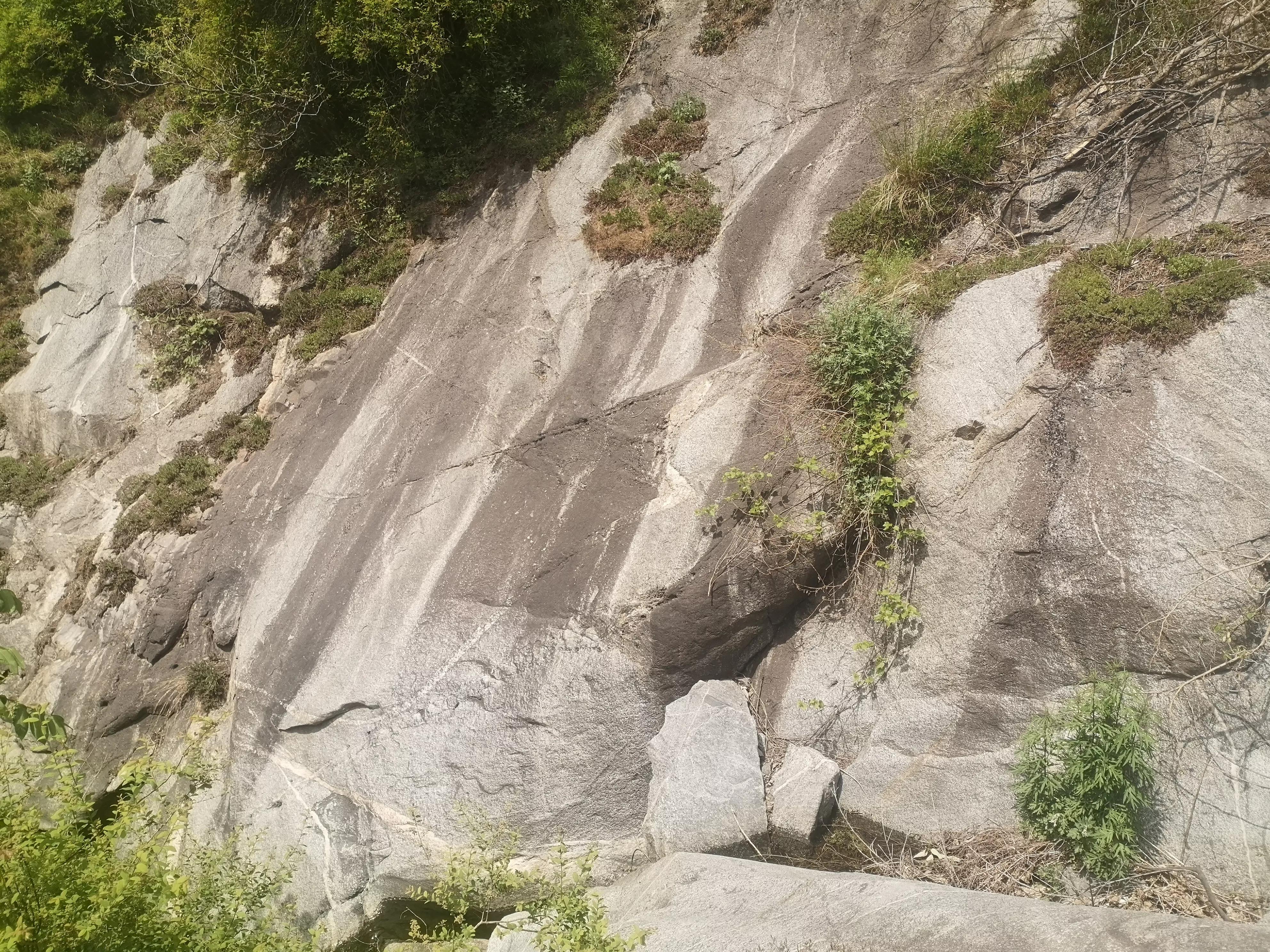 阿凡达中虚幻又真实的场景,阿凡达仙境片段