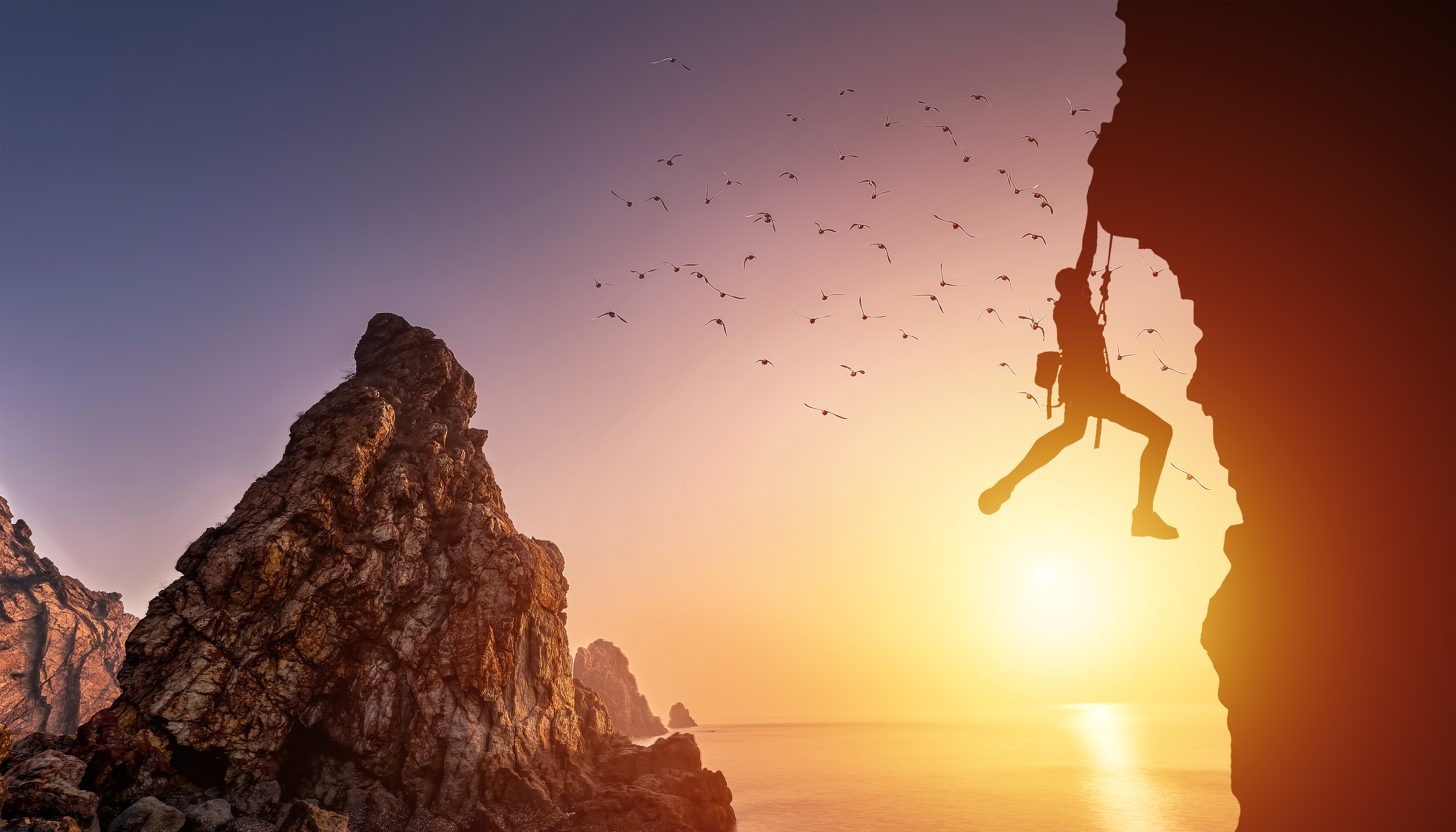 期货鳄鱼投资感悟-交易是什么?