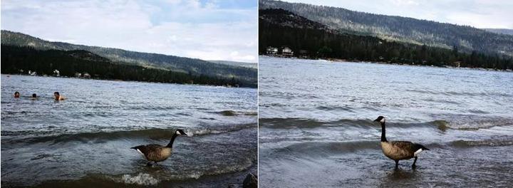 优胜美地案例,优胜美地简介