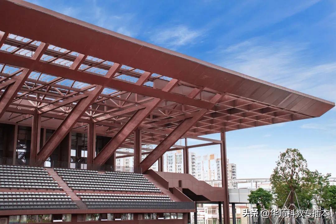 2022深圳技术大学专升本最低分,深圳技术大学2024年专插本