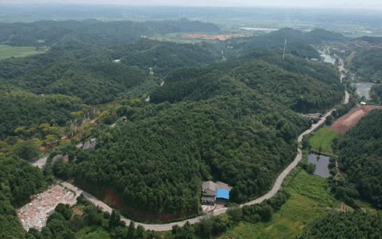 九年一贯制学校设计,阶梯式学校效果图