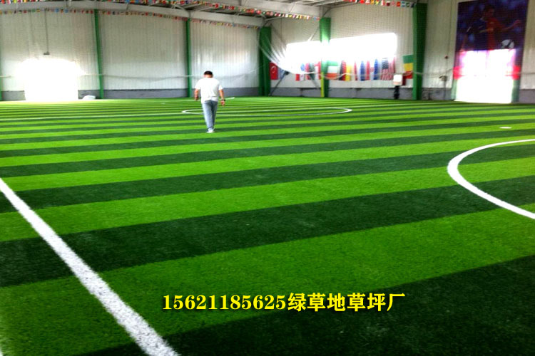 一个标准真草足球场需要多少钱,假草足球场多少钱一平