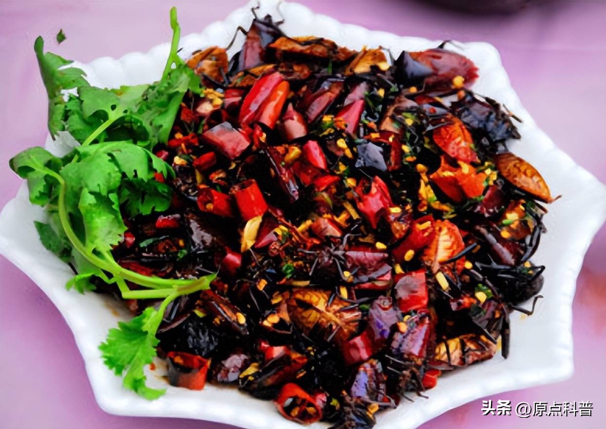 盘点农村小时候常玩的十个昆虫,盘点童年玩过的十种昆虫