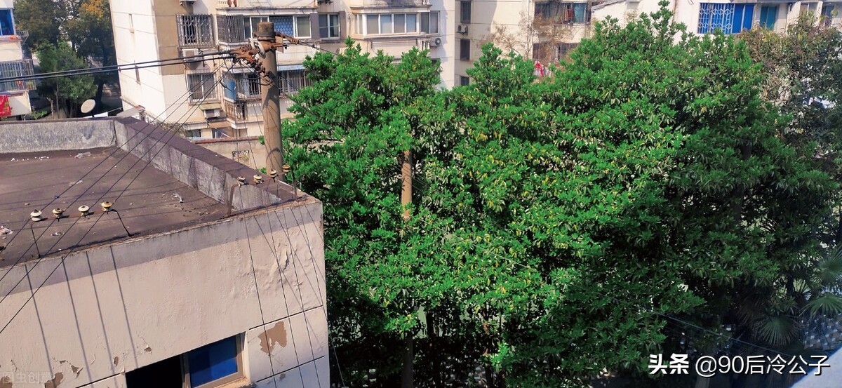 商品房二层到底好不好,商品房二楼有什么缺点